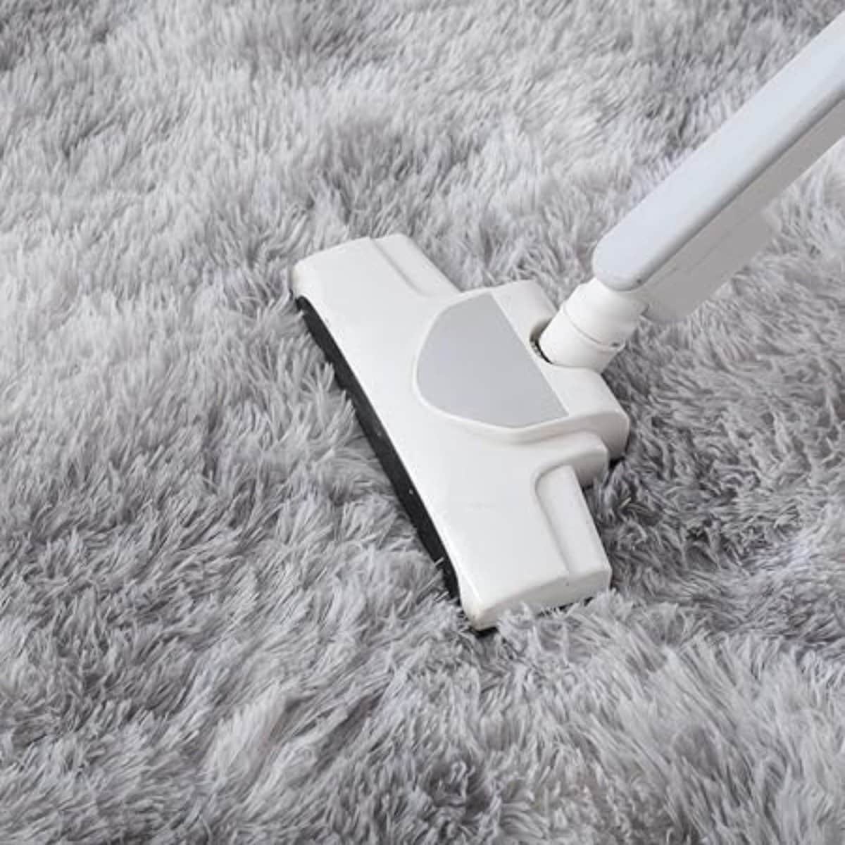 Tapis scandinave style fourrure épaisse Tapis scandinave style fourrure épaisse